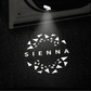 Toyota Sienna Compatible Door Projection Laser Light Greetlaight Modified Welcome Light According To The Ground Light